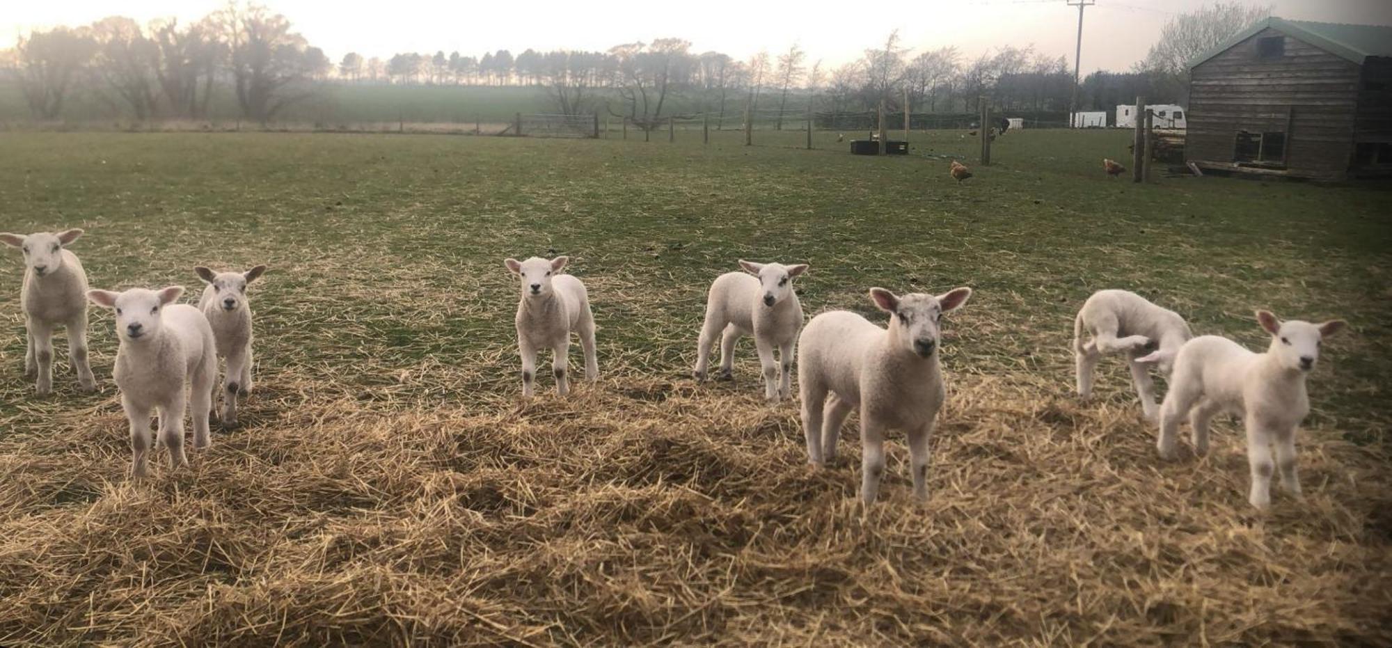 The Farm Burscough Villa ภายนอก รูปภาพ